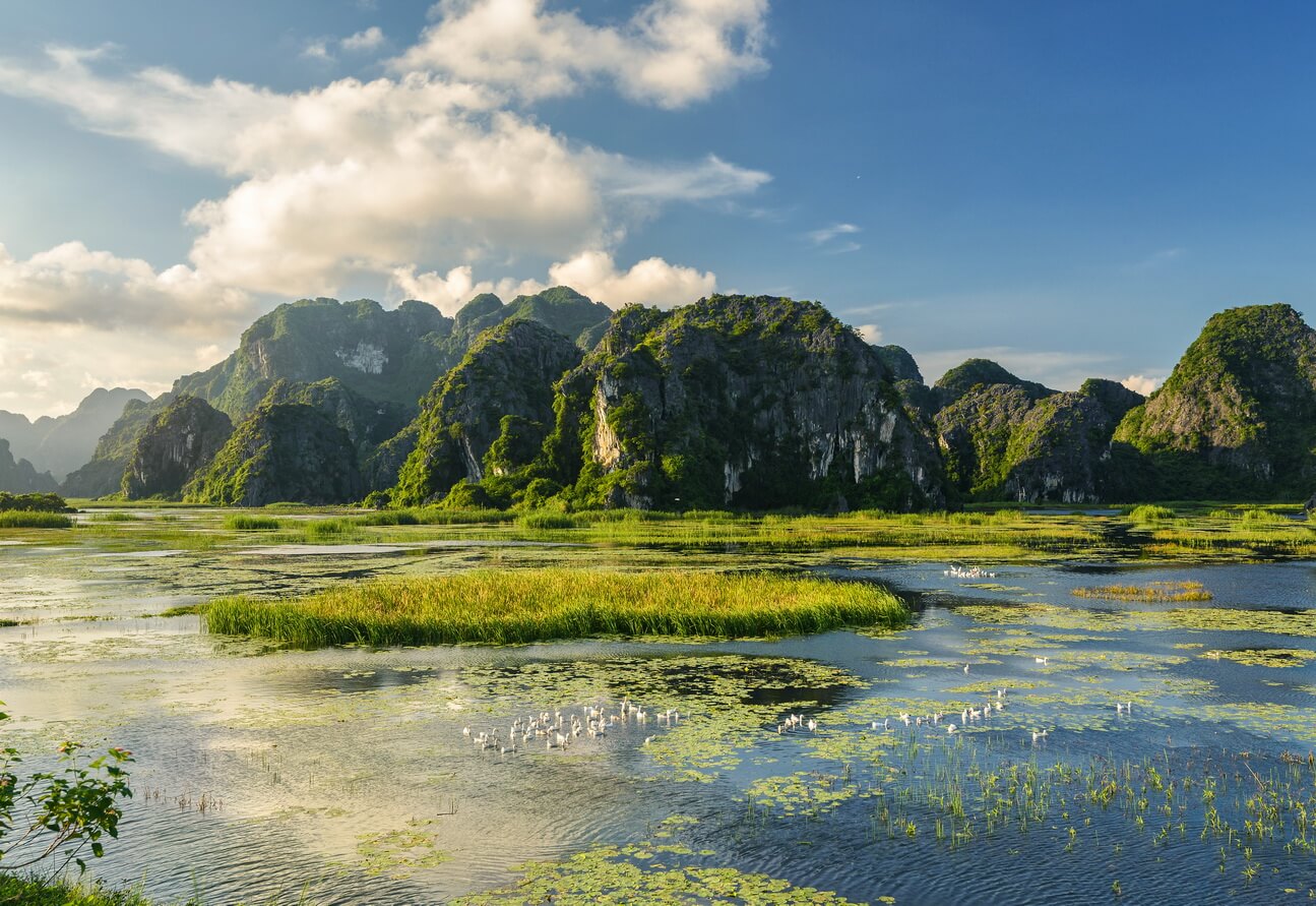 Cuc Phuong & Van Long Nature Reserve